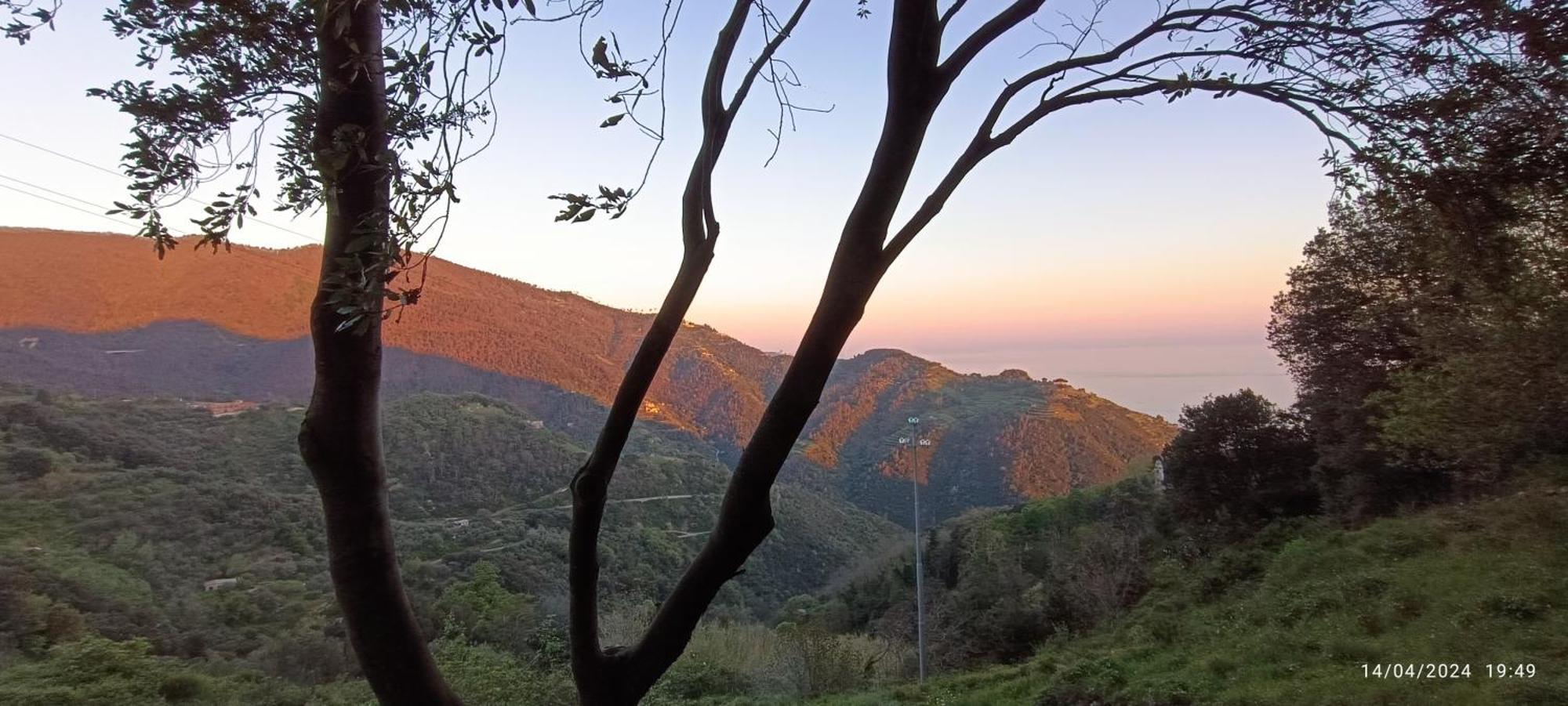 La Quiete Accesa